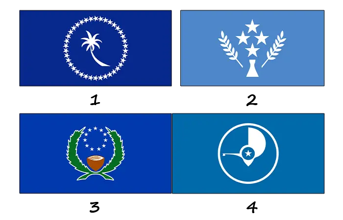 Flag of the Federated States of Micronesia - Meaning, colors & history