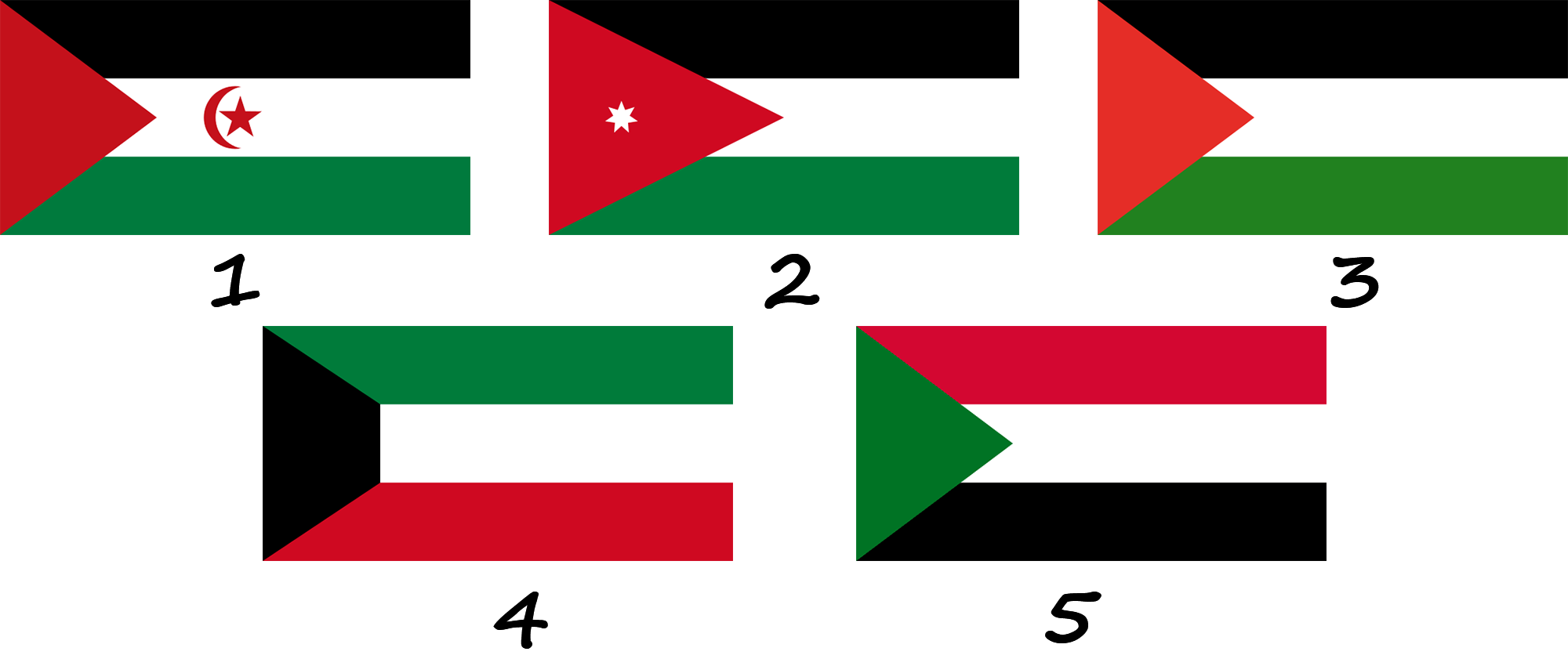 What flags is the UAE flag similar to?